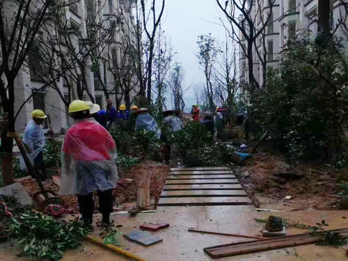 园林绿化工程施工，园林绿化养护，别墅庭院绿化